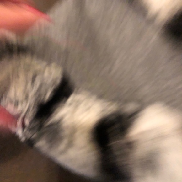 Meredith Marks Wrap - Picture 3 of 5